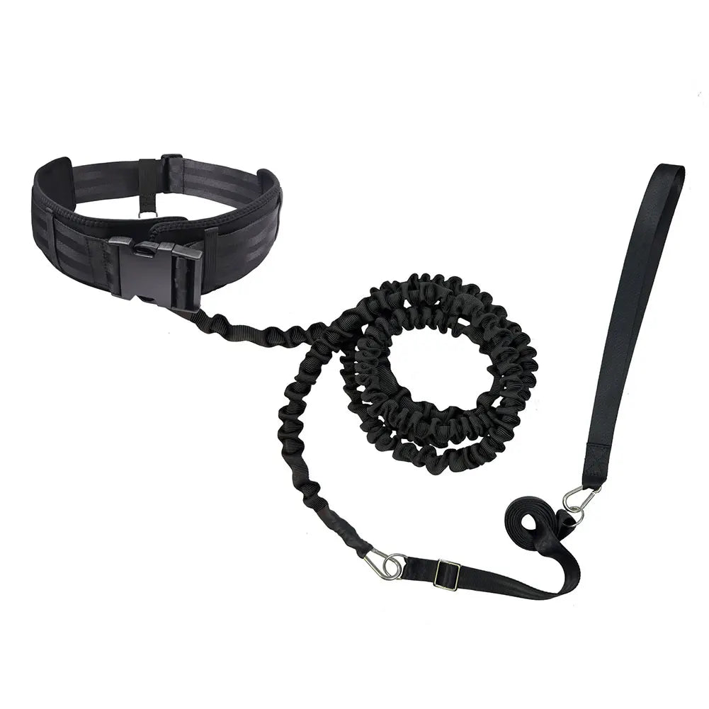 Blackswim belt with handle and collar on a white background