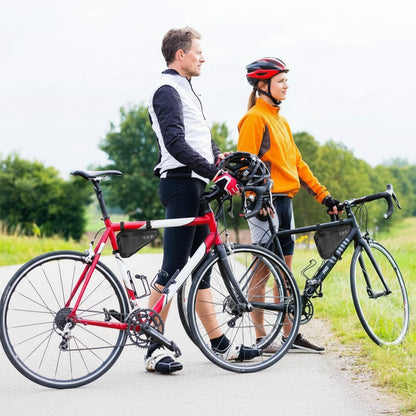 Bicycle Head Tube Bento Bag